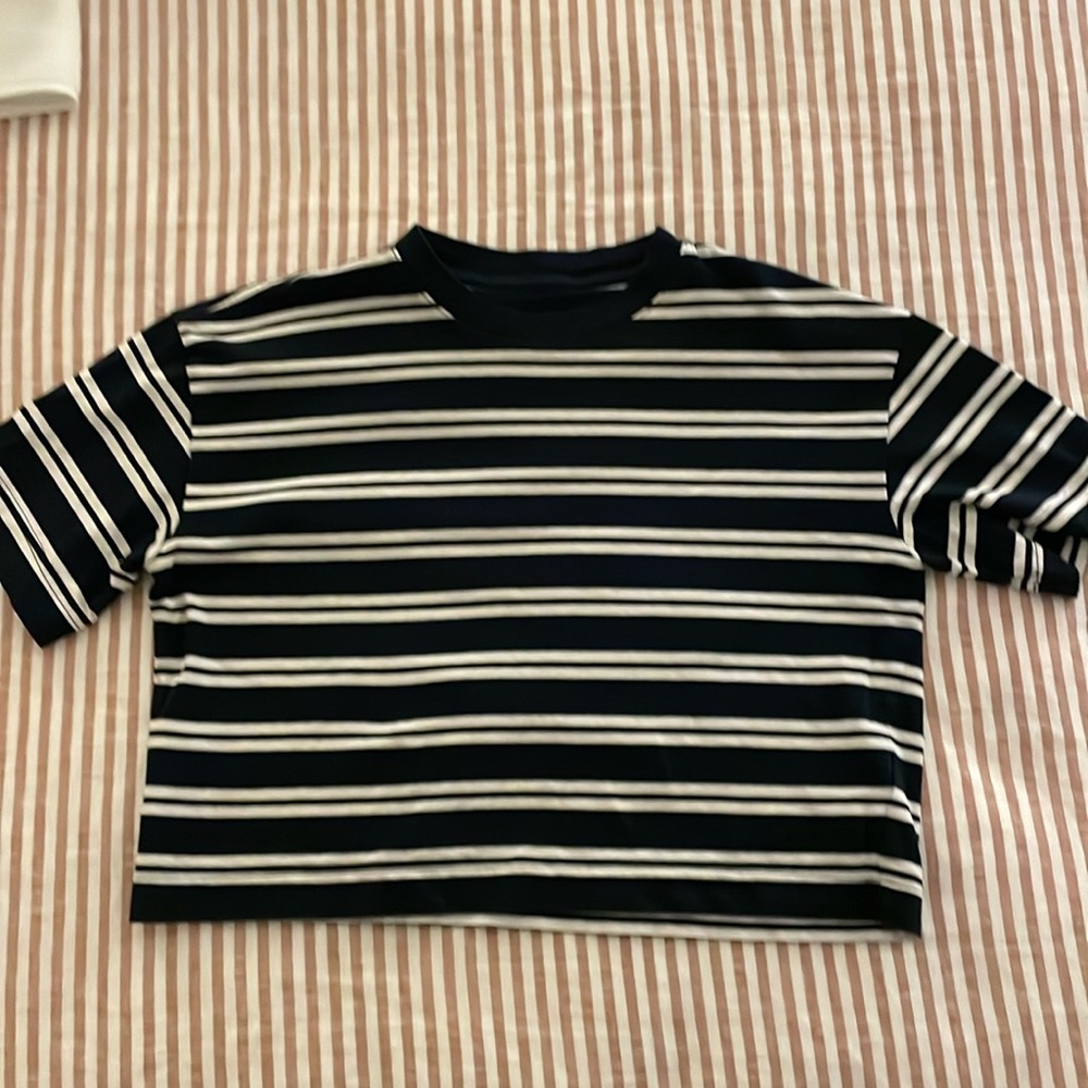 Everlane cropped stripe t shirt navy